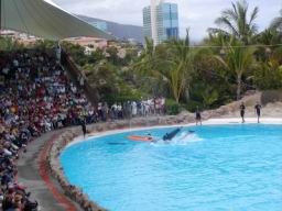 Resize of P21010097.JPG